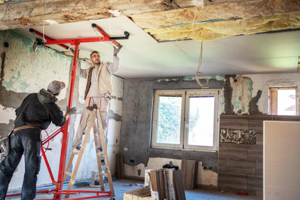 Best Insulation Repair Services  in Cottage City, MD